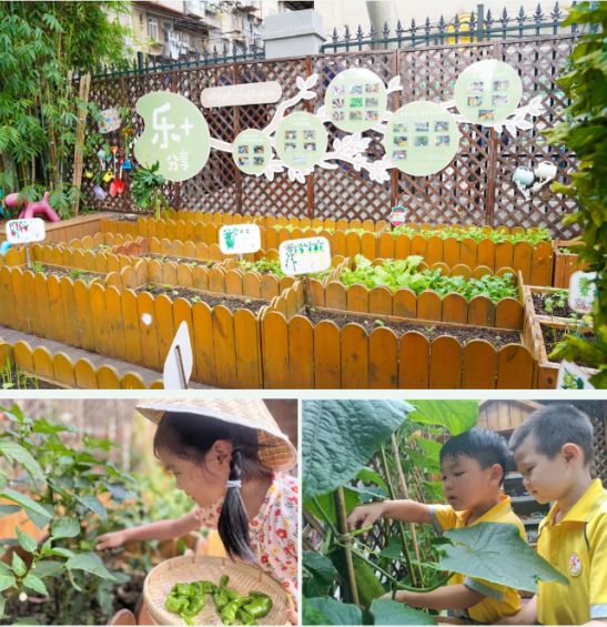 汉区北湖幼儿园抓牢关键阶段米乐m6登录入口武汉市江
