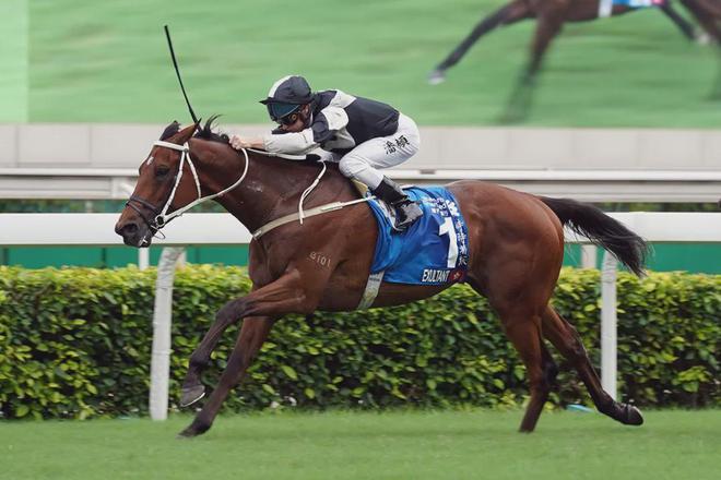 罩夺魁家族曾养香港马王m6米乐王经纬赛驹戴眼(图3)