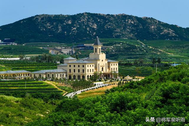 罘区为中坚福山领跑增速龙口为压舱石米乐m62024年烟台财政收入芝(图2)